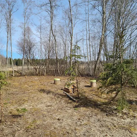 Paide Homestay szállás